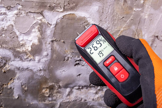 Best Mold Removal and Inspection  in Grundy Center, IA